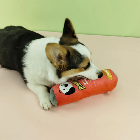 Chien mâchant son jouet pour chien rouge