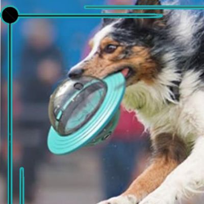 Chien avec un jouet pour chien soucoupe volante turquoise