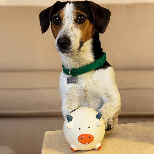 Chien avec jouet pour chien à mâcher en forme de vache