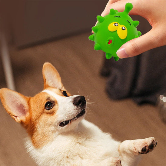 Maître donnant un jouet â mâcher pour chien, apprentissage et renforcer la complicité.