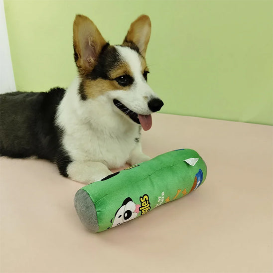 Chien mâchant son jouet pour chien vert