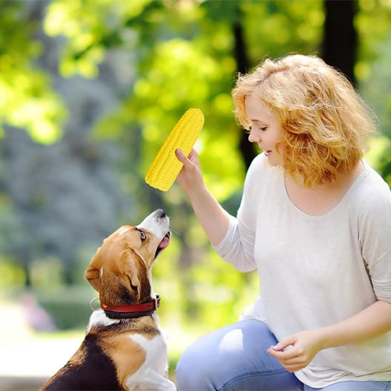 Chien qui s’amuse avec sa maîtresse à lancer et rattraper un jouet pour chiens interactif en maïs en latex souple