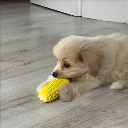 Chien jouant seul avec un jouet pour chiens durable en latex maïs, parfait contre l’ennui et le stress