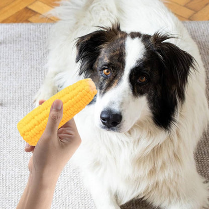 Chien heureux avec son jouet pour chiens écologique en forme de maïs dans le salon