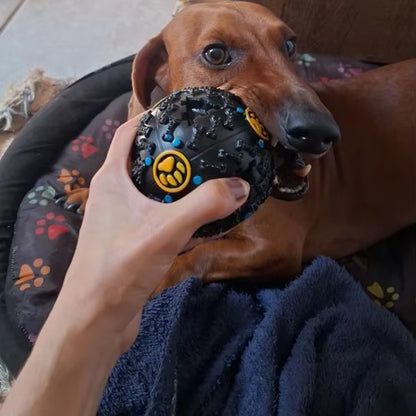 Chien croquant le jouets pour chien anti-stress noir