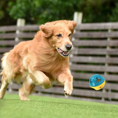 Chien qui court derrière une balle sonore jaune et bleu, jouets pour chien pour développer son agilité