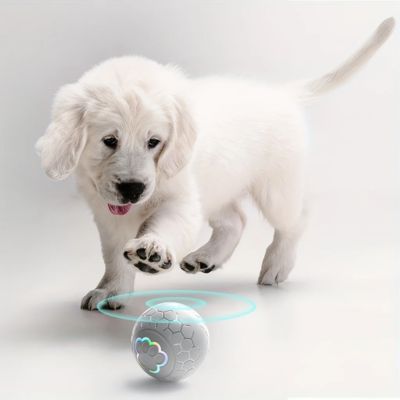 Chien heureux jouant une balle interactive grise, jouets pour chien éducatifs et résistants