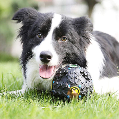 Chien assis sur le gazon devant le jouets pour chien ludique