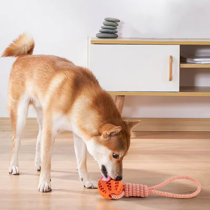 Chien heureux dans le salon mordillant le jouets pour chien orange parfaits pour renforcer la santé dentaire et réduire le tartre