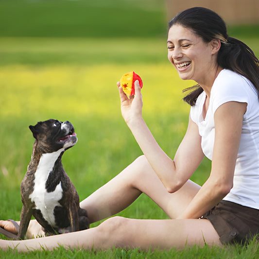 chien assis dans le parc devant sa maîtresse qui lui montre une balle sonore rouge et jayne, jouets pour chien pour éveiller sa curiosité