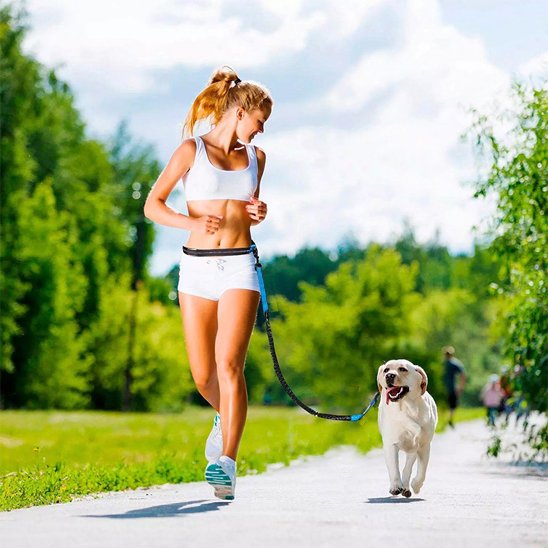 Laisse canicross bleu jogging