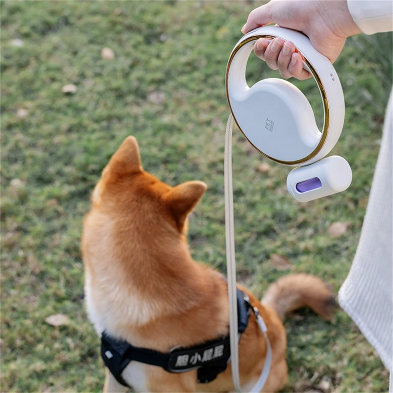 laisse-chien-blanc-avec-chien