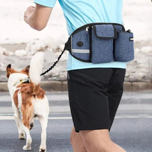 laisse-chien-bleu-azur