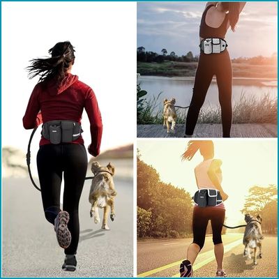 laisse-chien-joging