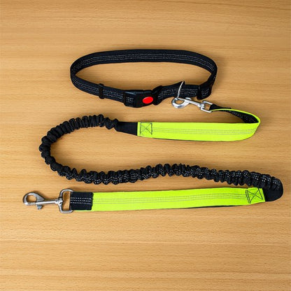 Laisse chien main libre vert