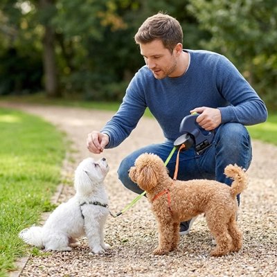 Laisse double pour Chien rouge en ville