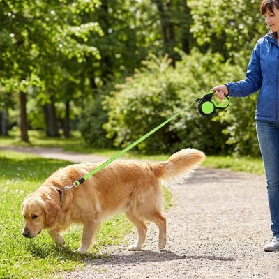 Laisse enrouleur pour chien vert avec un golden retriever