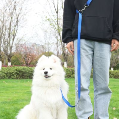 laisse-mains-libres-pour-chiens-bleu