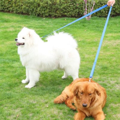 laisse-mains-libres-pour-chiens-golden-retriever