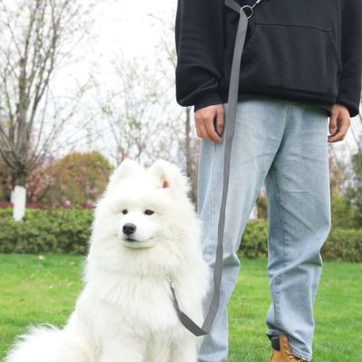 laisse-mains-libres-pour-chiens-gris