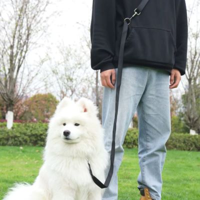 laisse-mains-libres-pour-chiens-noir