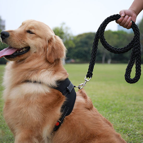 laisse-pour-chien-noir-ledog