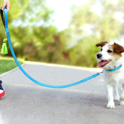 Laisse pour chien bleu en promenade