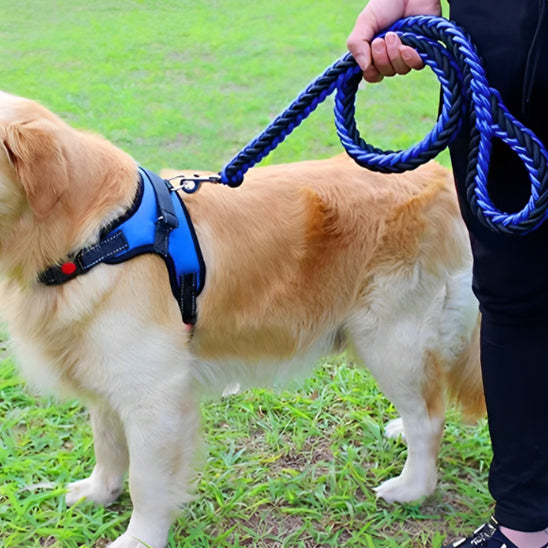 aisse-pour-chien-bleu-noir