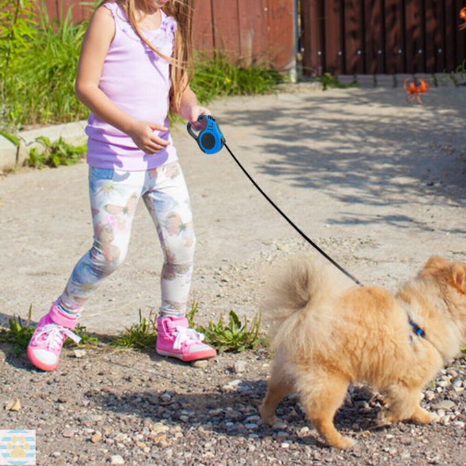 laisse-pour-chien-bleu