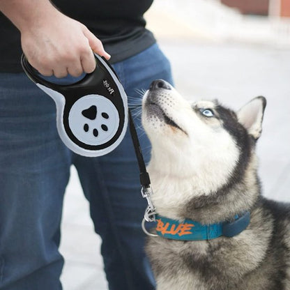 Laisse pour chien enrouleur husky