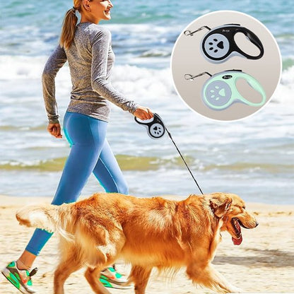 Laisse pour chien enrouleur noir au bord de la mer