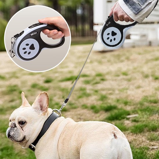 Laisse pour chien enrouleur noir au parc