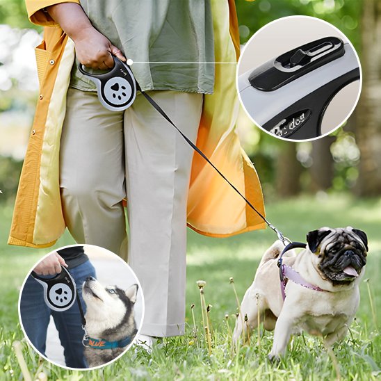 Laisse pour chien enrouleur noir en balade