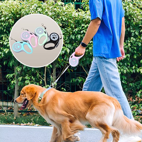 Laisse pour chien enrouleur noir