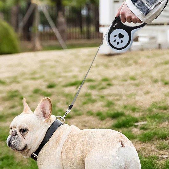 Laisse pour chien enrouleur noir 