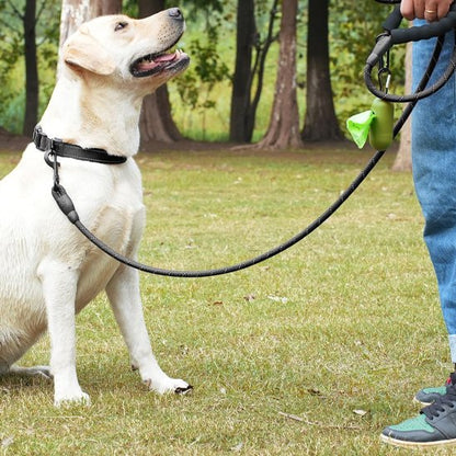 Laisse pour chien noir dans les bois