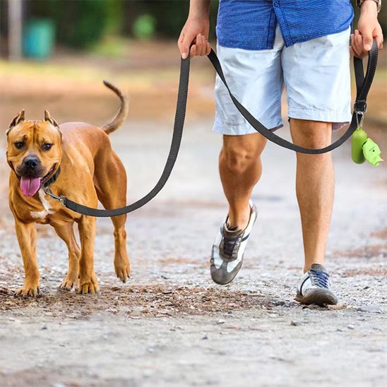 Laisse pour chien noir marche à côté de son maître