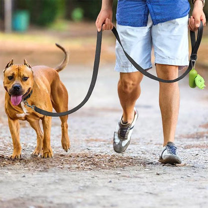 Laisse pour chien noir marche à côté de son maître
