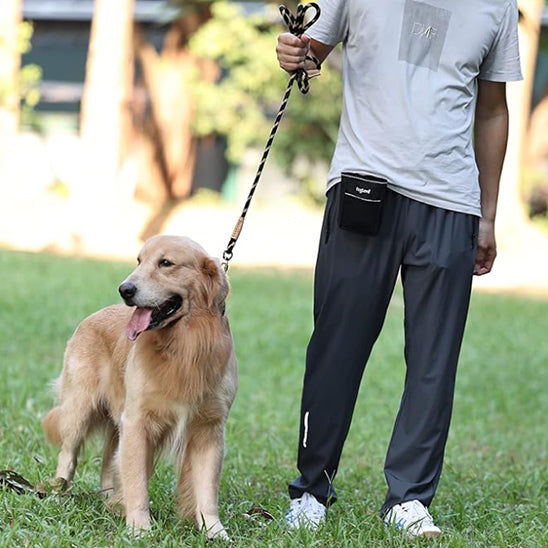 laisse-pour-chien-noir