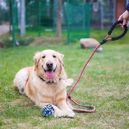 Laisse pour chien rose assis
