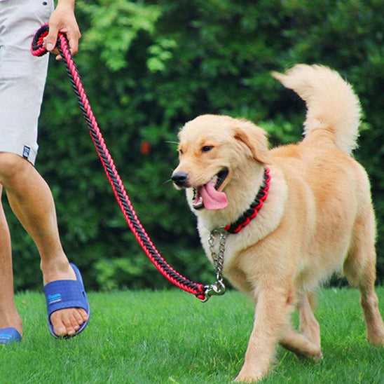 laisse-pour-chien-rouge-noir