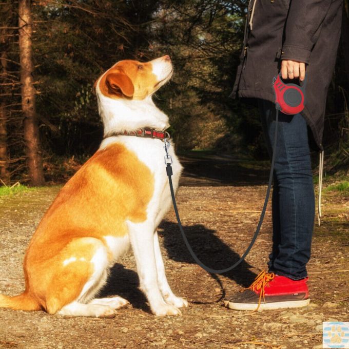 laisse-pour-chien-rouge