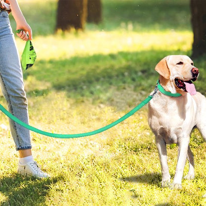 Laisse pour chien vert au parc