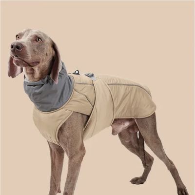 Chien avec manteau beige