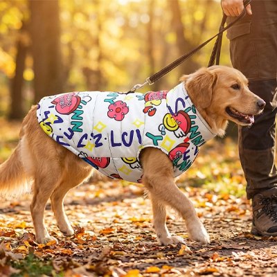 Manteau chien blanc dans le bois