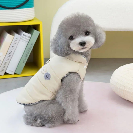 Chien vêtu d'un manteau imperméable kaki assis sur un fauteuil