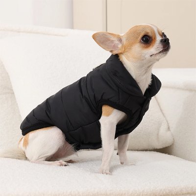 Manteau pour Chien noir