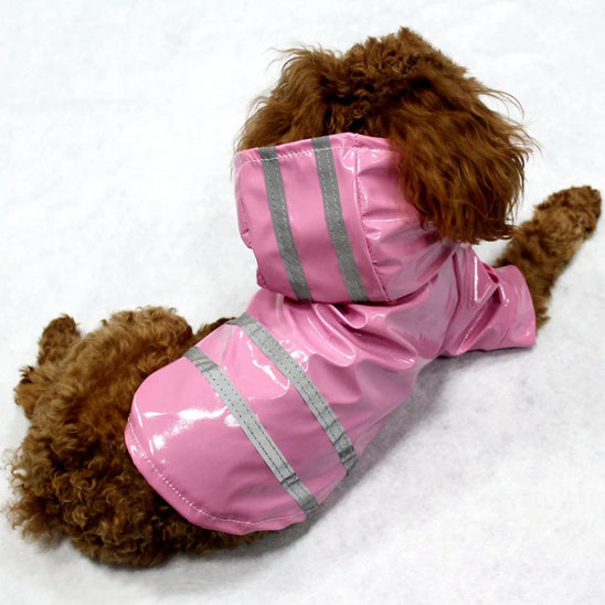 Chien avec manteau rose assis