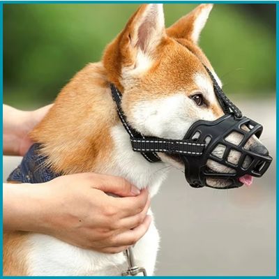 Chien avec une muselière noir 