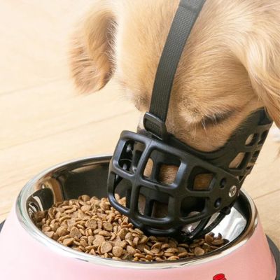 Muselière anti morsure pour chien, photo de face montrant un chien mangeant dans une gamelle